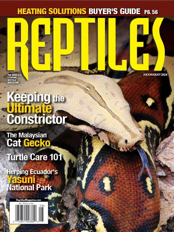 Reptiles July 01, 2024 Issue Cover