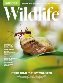 National-Wildlife March 01, 2026 Issue Cover