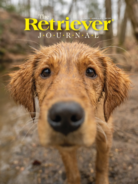 The-Retriever-Journal April 01, 2025 Issue Cover