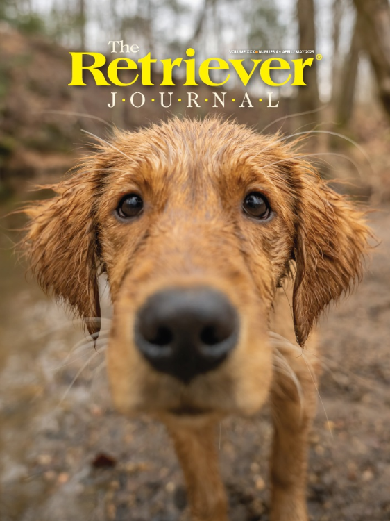 The Retriever Journal April 01, 2025 Issue Cover