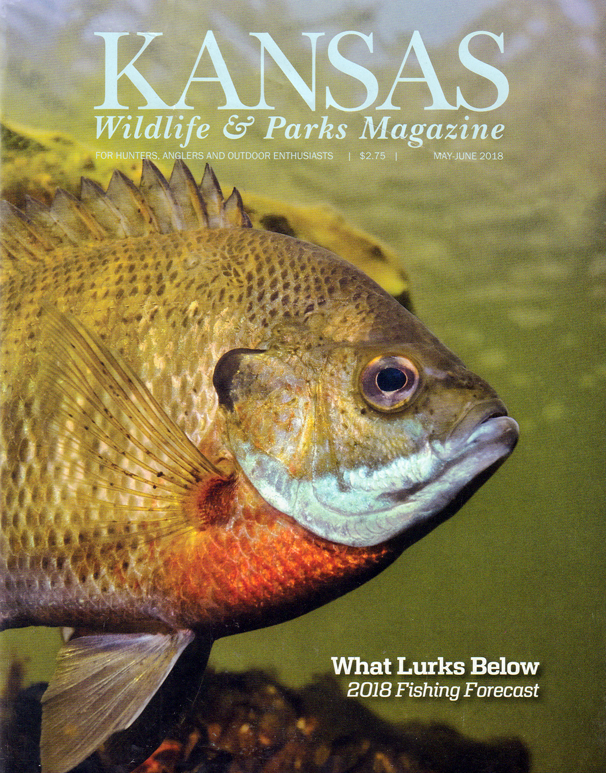 Kansas-Wildlife-and-Parks May 01, 2018 Issue Cover
