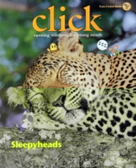 Click July 01, 2016 Issue Cover