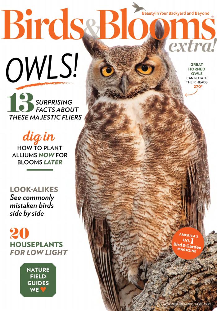 Birds-and-Blooms-Extra November 01, 2021 Issue Cover
