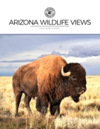 Arizona-Wildlife-Views March 01, 2026 Issue Cover