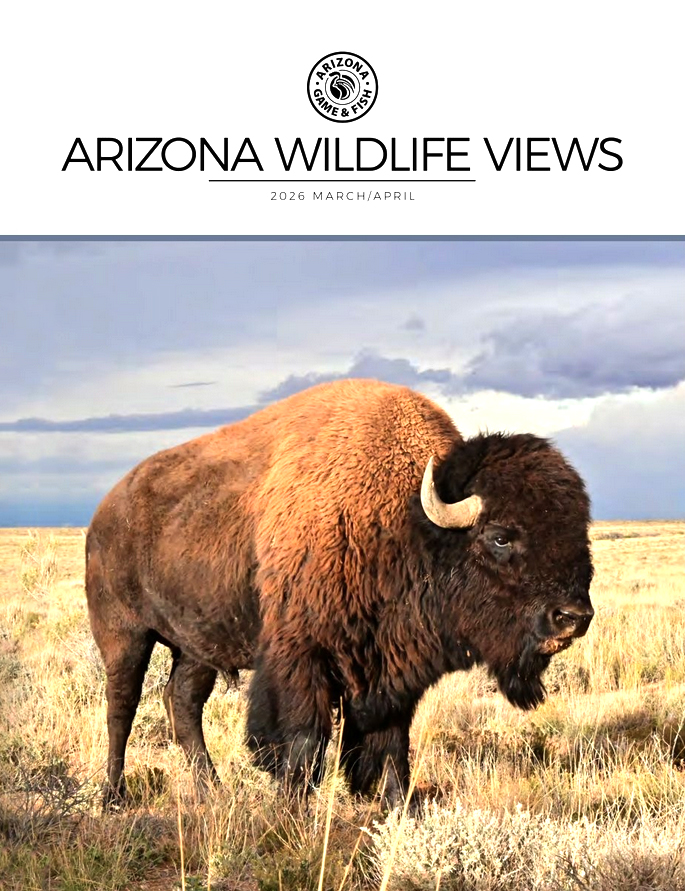 Arizona Wildlife Views March 01, 2026 Issue Cover