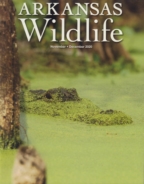 Arkansas-Wildlife November 01, 2020 Issue Cover