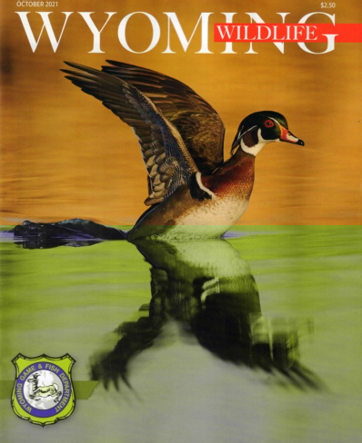Wyoming Wildlife October 01, 2021 Issue Cover