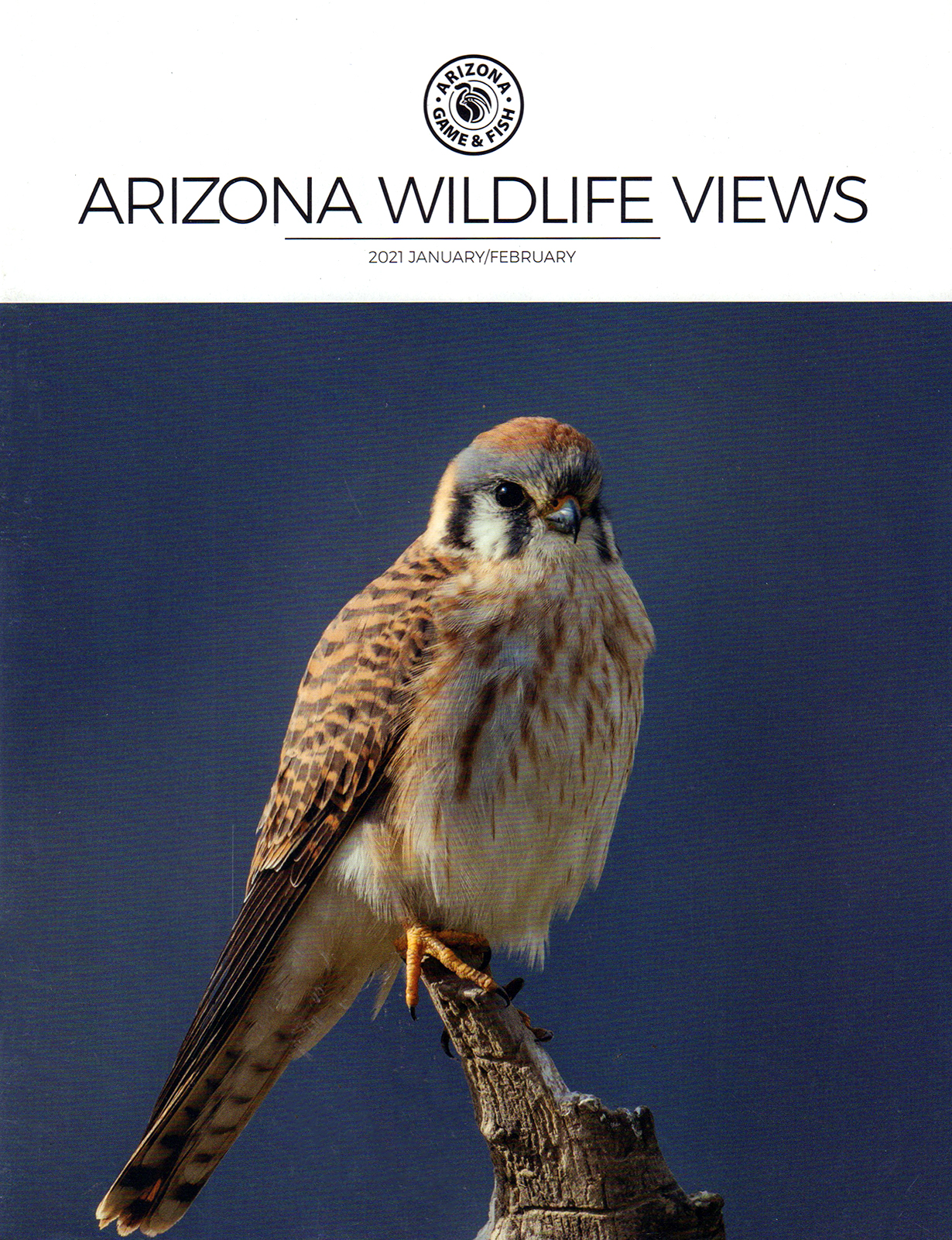 Arizona-Wildlife-Views January 01, 2021 Issue Cover