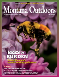 Montana-Outdoors May 01, 2026 Issue Cover