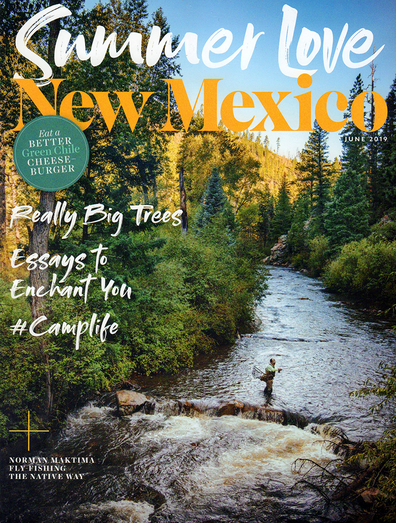 New-Mexico June 01, 2019 Issue Cover