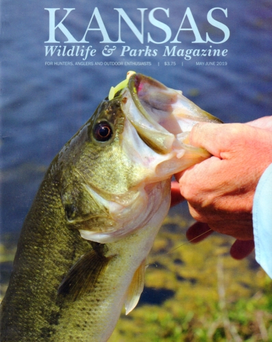 Kansas Wildlife & Parks May 01, 2019 Issue Cover