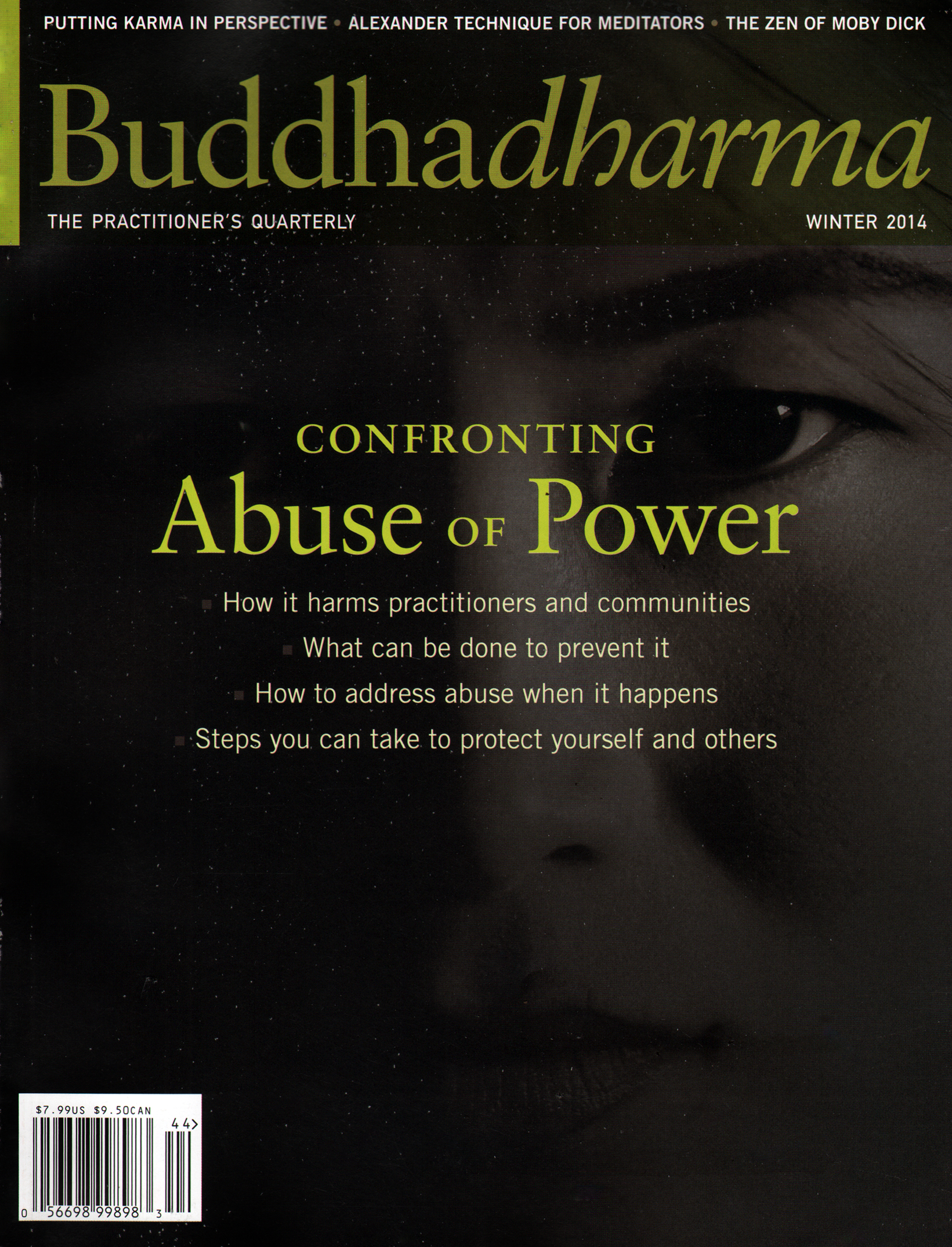 BUDDHADHARMA-THE-PRACTIONERS-QUARTERLY December 01, 2014 Issue Cover