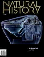 Natural-History April 01, 2021 Issue Cover