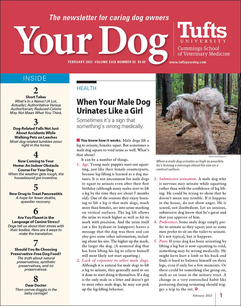 Your-Dog February 01, 2023 Issue Cover