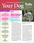 Your-Dog February 01, 2023 Issue Cover