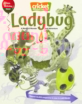 Ladybug September 01, 2025 Issue Cover