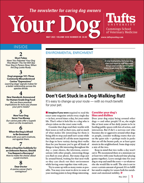 Your-Dog May 01, 2023 Issue Cover