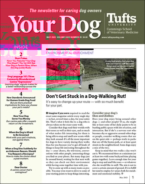Your-Dog May 01, 2023 Issue Cover
