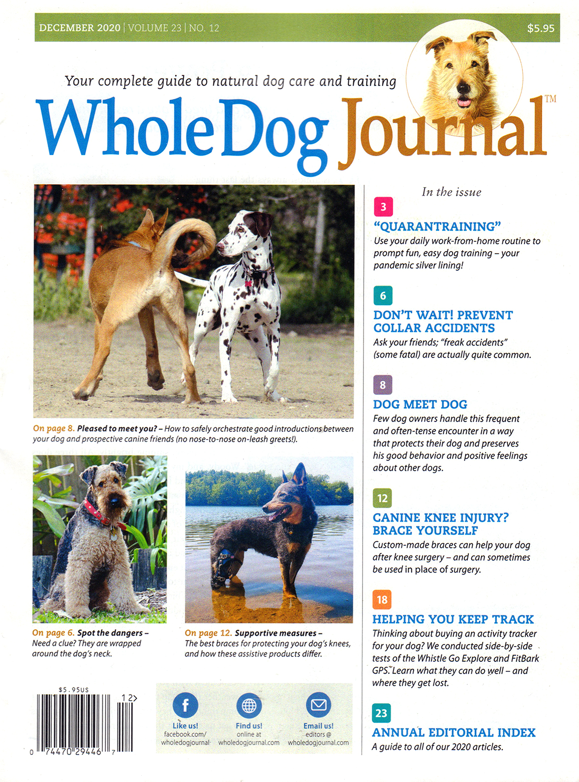 Whole-Dog-Journal December 01, 2020 Issue Cover