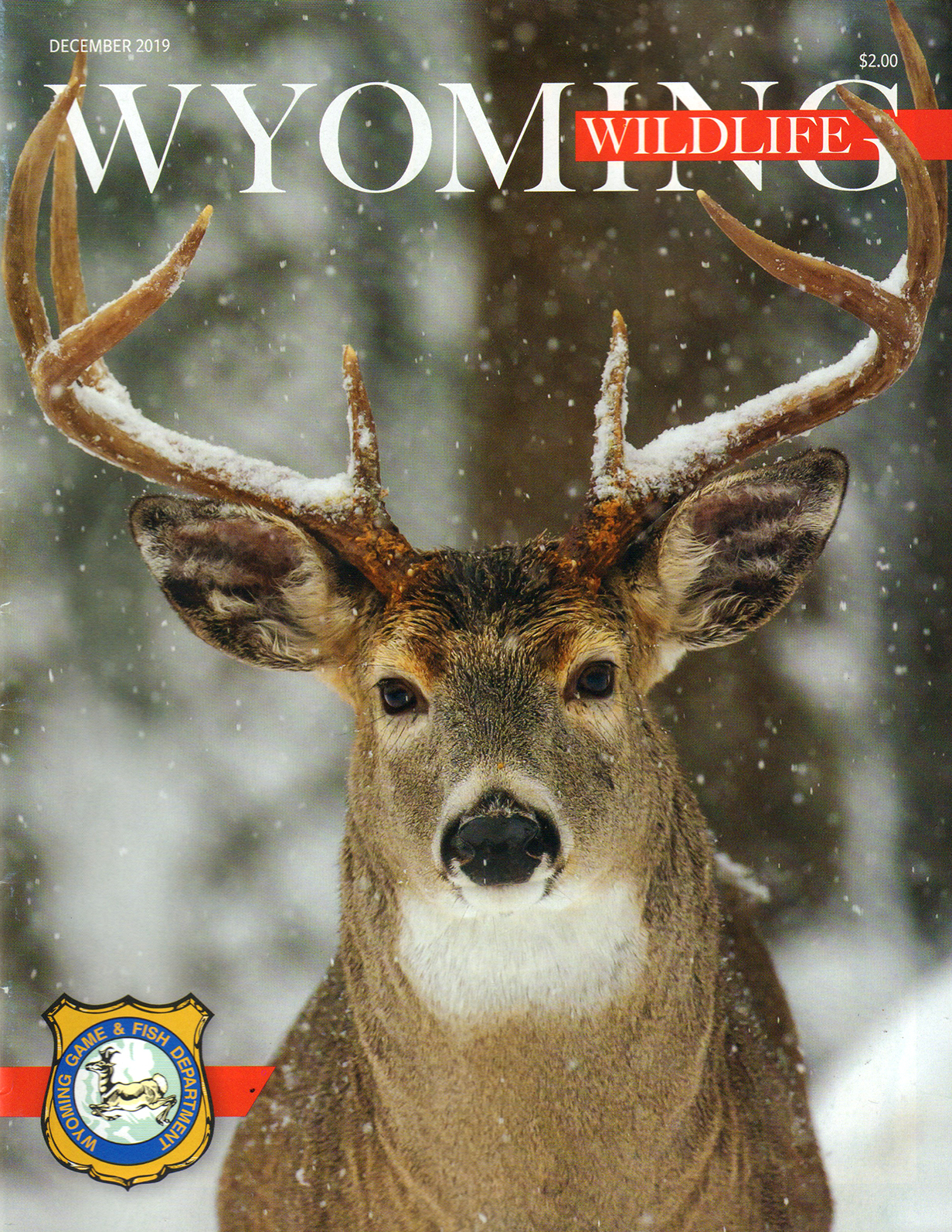 Wyoming-Wildlife December 01, 2019 Issue Cover