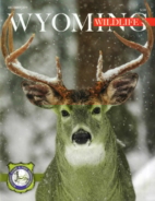 Wyoming-Wildlife December 01, 2019 Issue Cover
