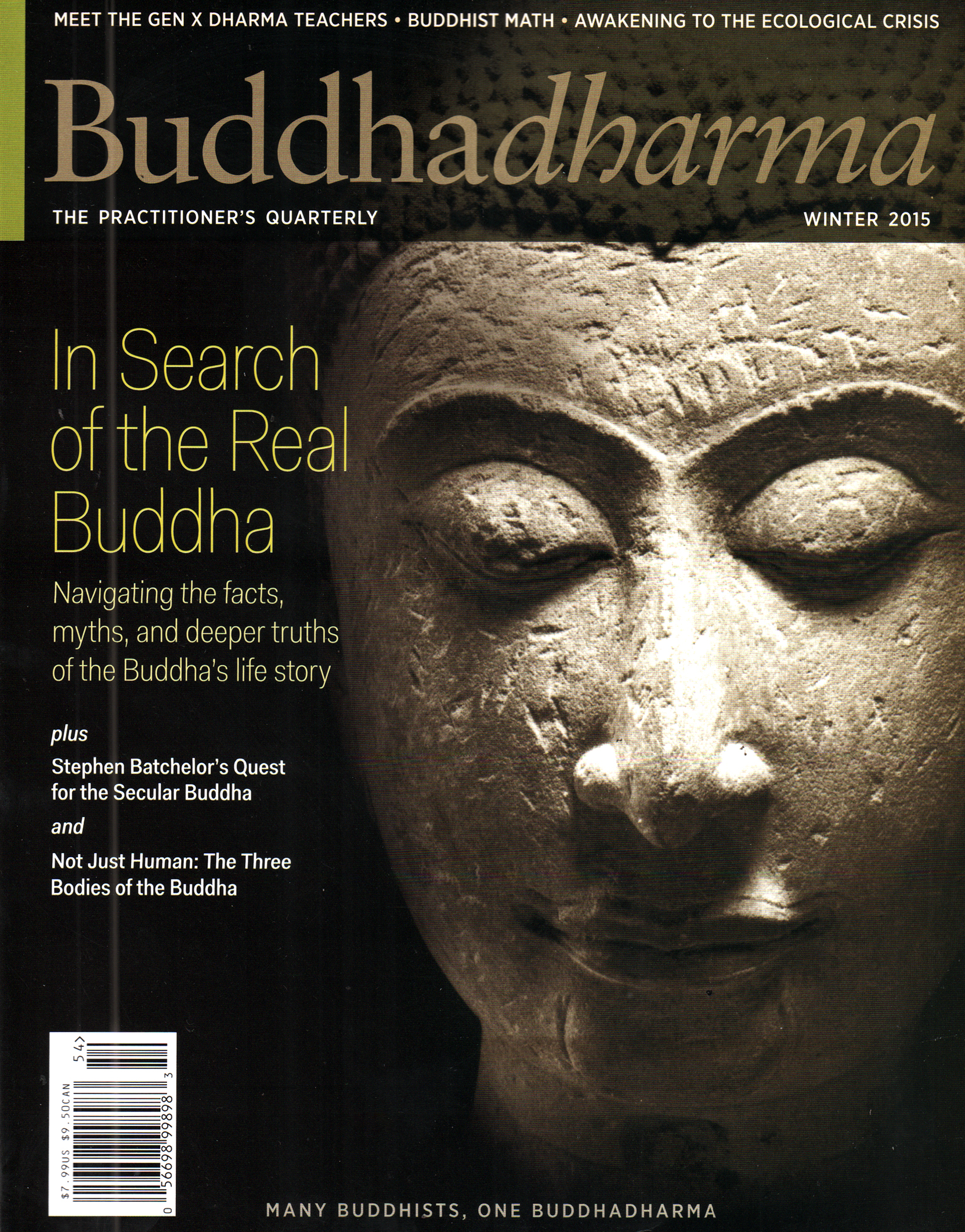 BUDDHADHARMA-THE-PRACTIONERS-QUARTERLY December 01, 2015 Issue Cover