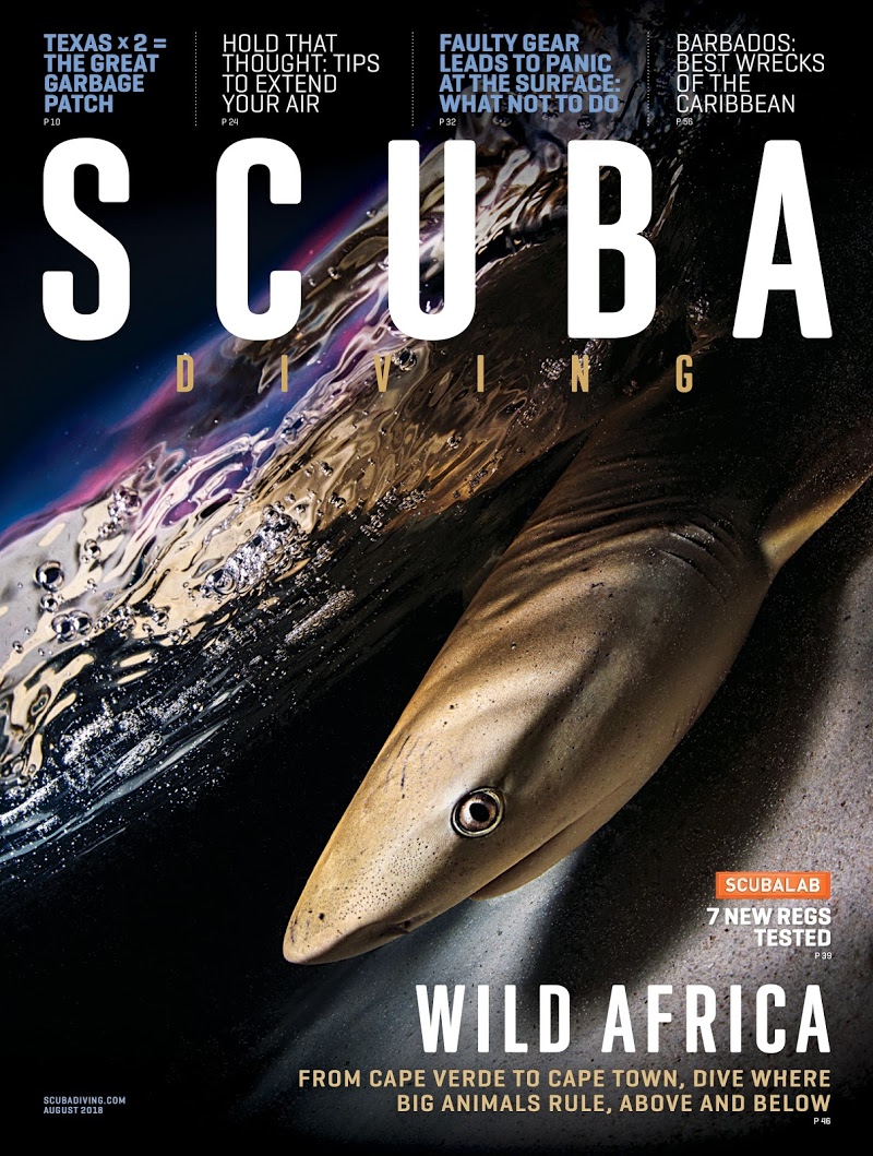 Scuba-Diving August 01, 2018 Issue Cover