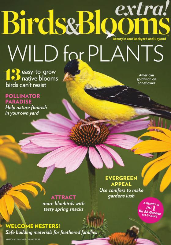 Birds-and-Blooms-Extra March 01, 2021 Issue Cover