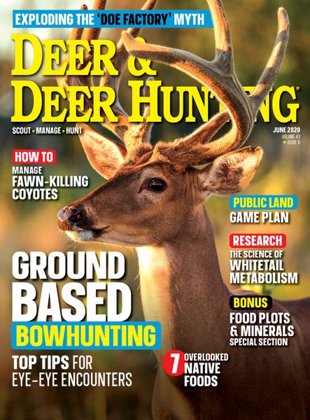 Deer-and-Deer-Hunting June 01, 2020 Issue Cover