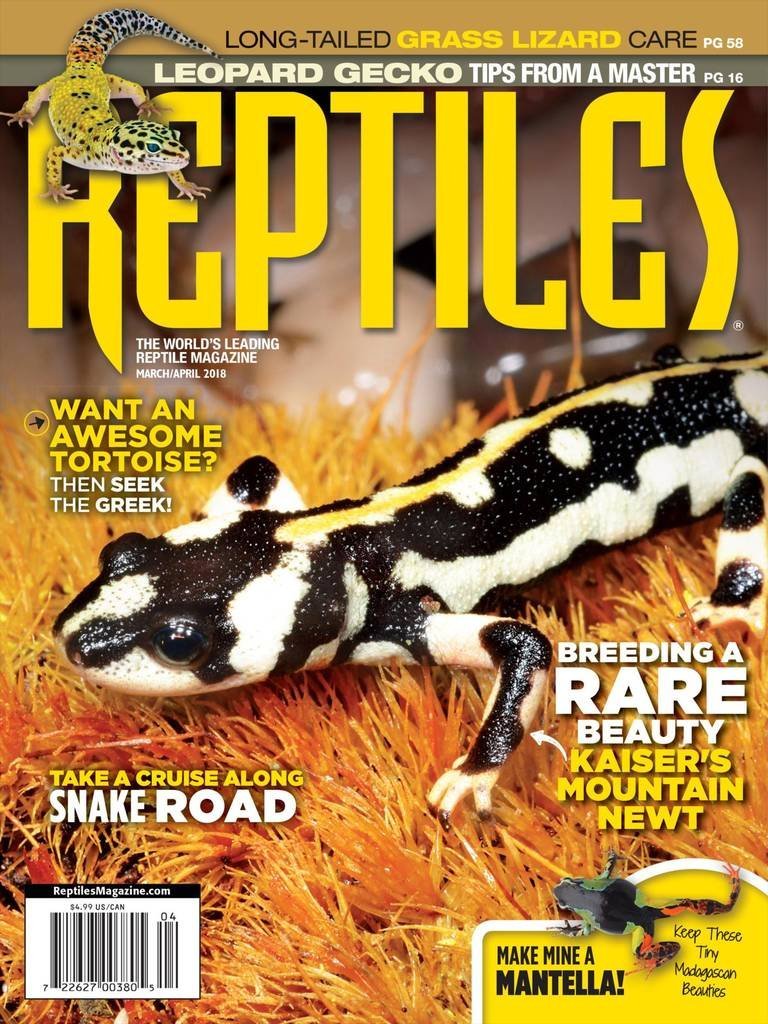 Reptiles March 01, 2018 Issue Cover