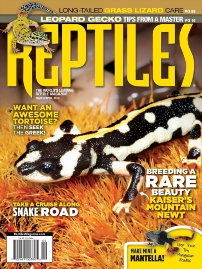 Reptiles March 01, 2018 Issue Cover