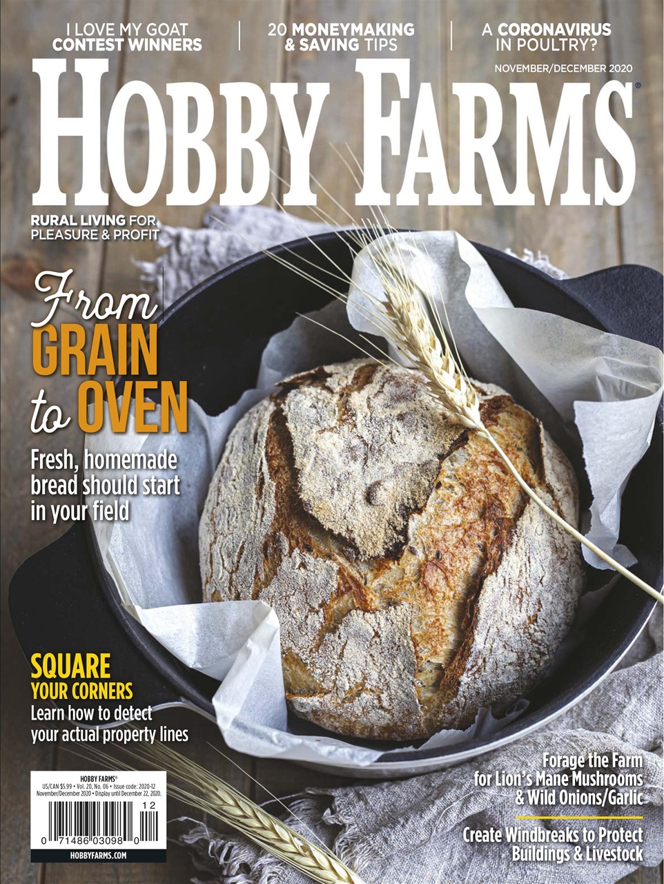Hobby-Farms November 01, 2020 Issue Cover