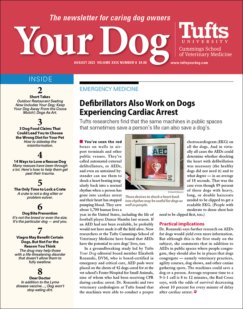 Your-Dog August 01, 2023 Issue Cover