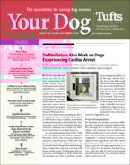 Your-Dog August 01, 2023 Issue Cover