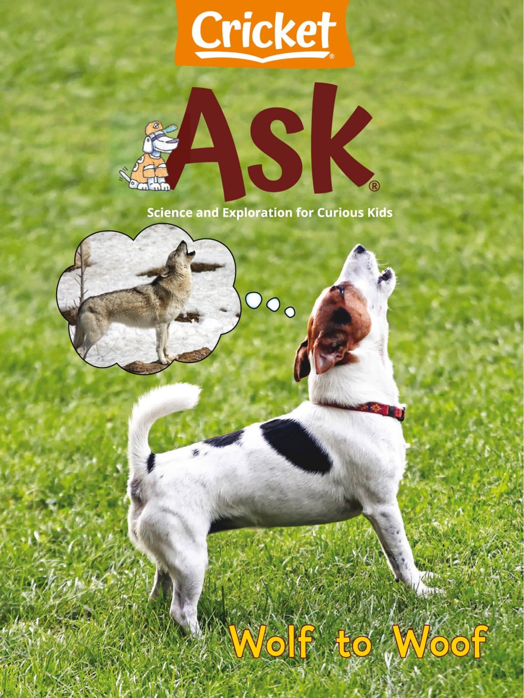 ask February 01, 2024 Issue Cover