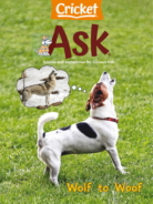 ask February 01, 2024 Issue Cover