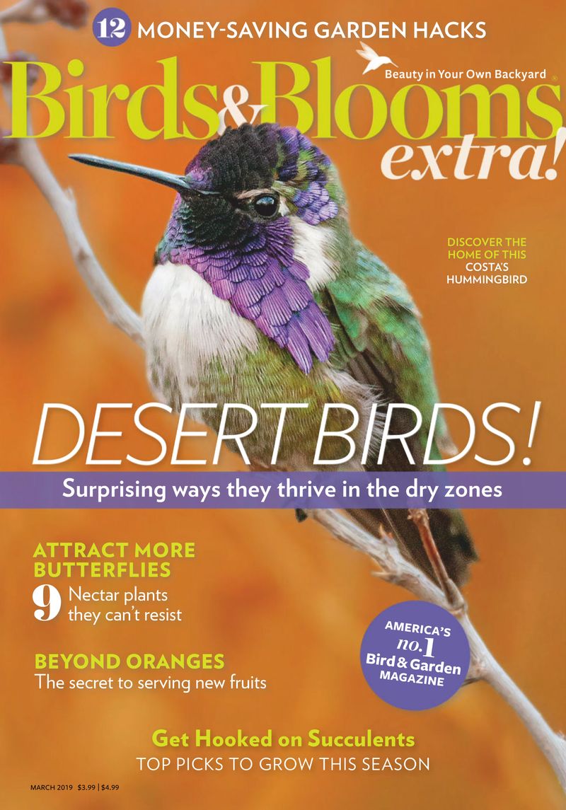 Birds-and-Blooms-Extra March 01, 2019 Issue Cover