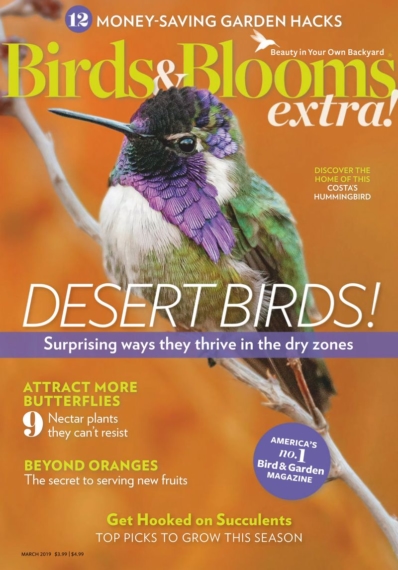 Birds & Blooms Extra March 01, 2019 Issue Cover