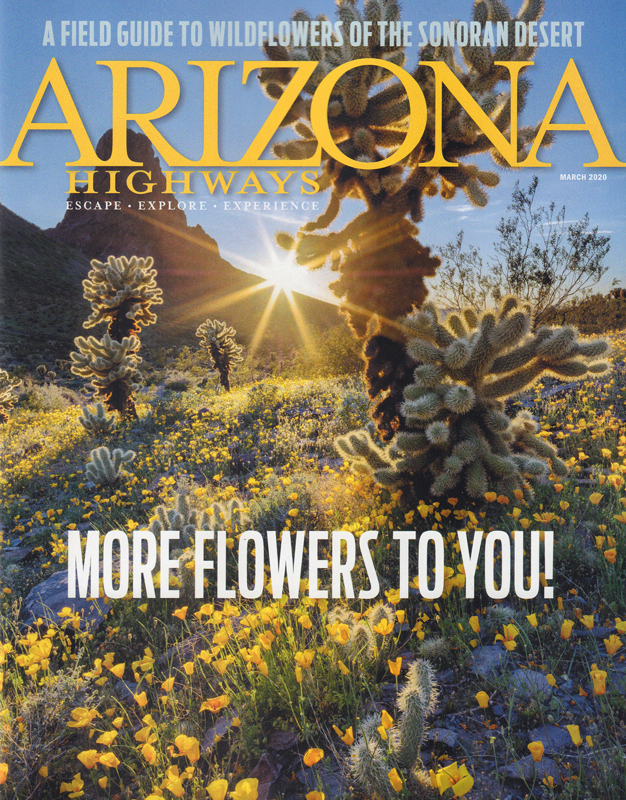 Arizona-Highways March 01, 2020 Issue Cover
