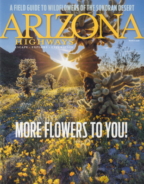 Arizona-Highways March 01, 2020 Issue Cover