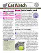 Catwatch October 01, 2020 Issue Cover