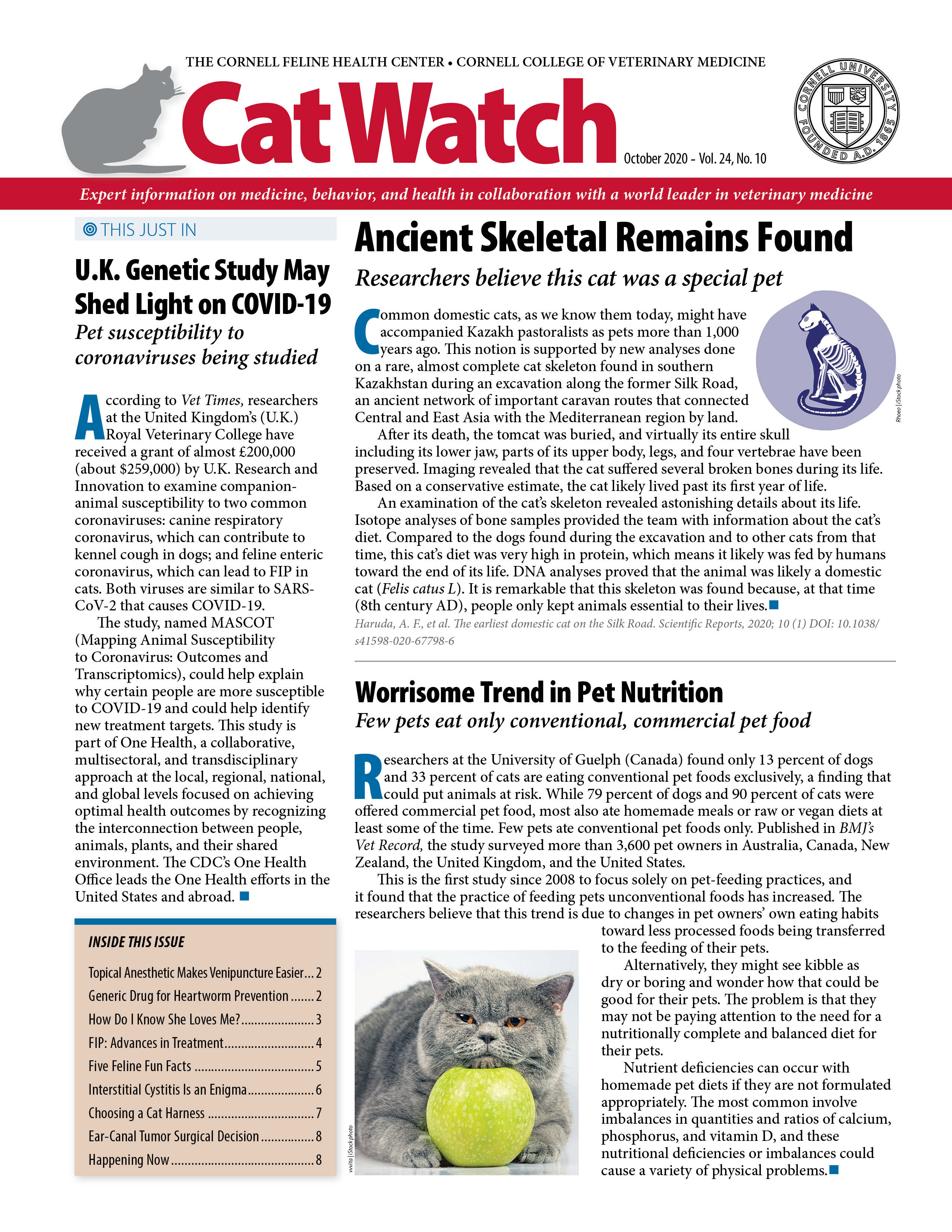 Catwatch October 01, 2020 Issue Cover