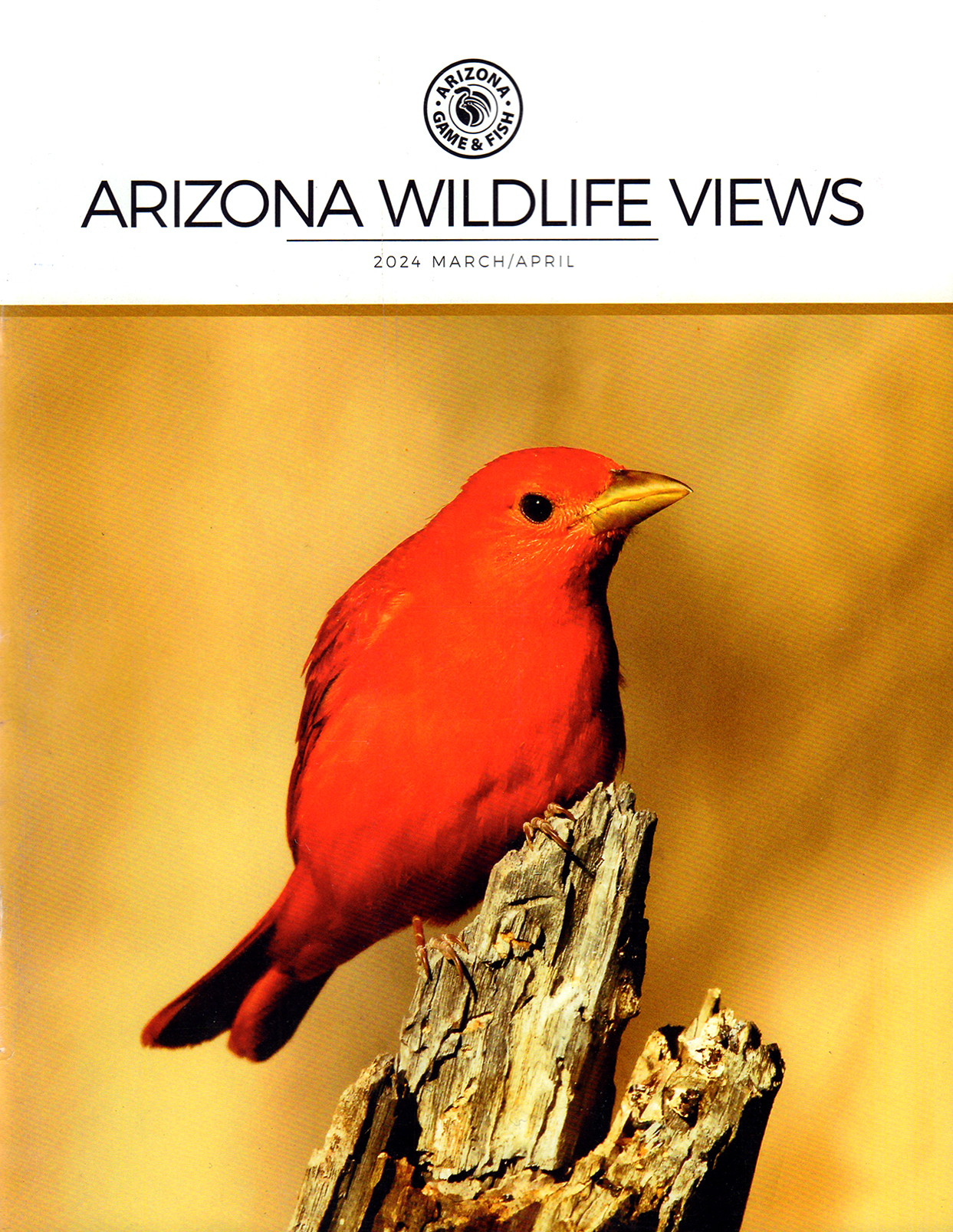 Arizona-Wildlife-Views March 01, 2024 Issue Cover