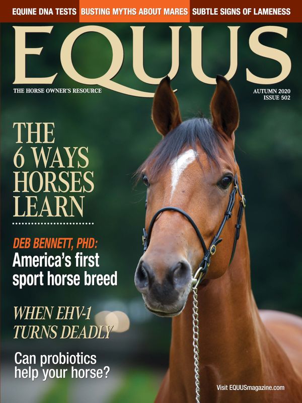 Equus September 01, 2020 Issue Cover