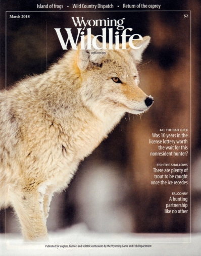 Wyoming Wildlife March 01, 2018 Issue Cover