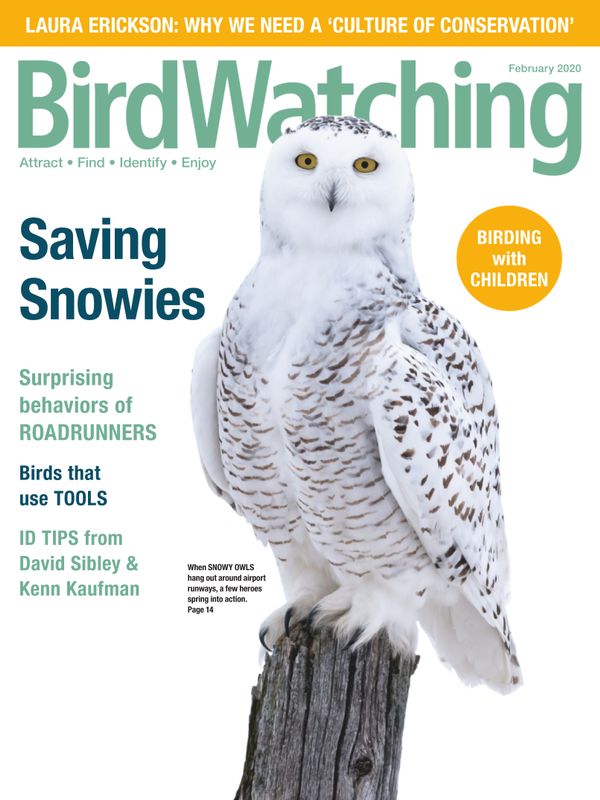 Bird-Watching January 01, 2020 Issue Cover