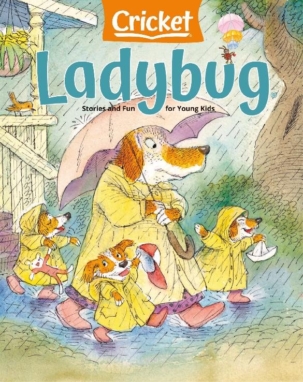 Ladybug 1Magazine Subscription