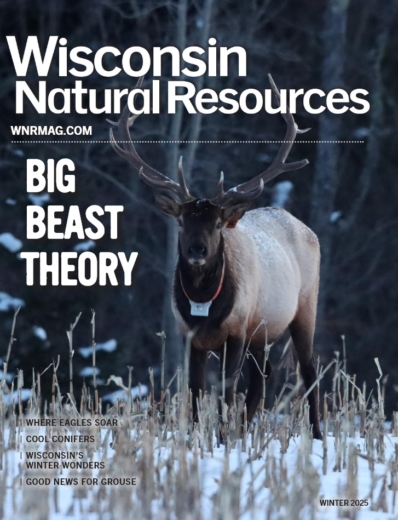 Wisconsin Natural Resources December 01, 2025 Issue Cover