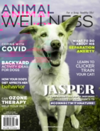 Animal-Wellness June 01, 2020 Issue Cover