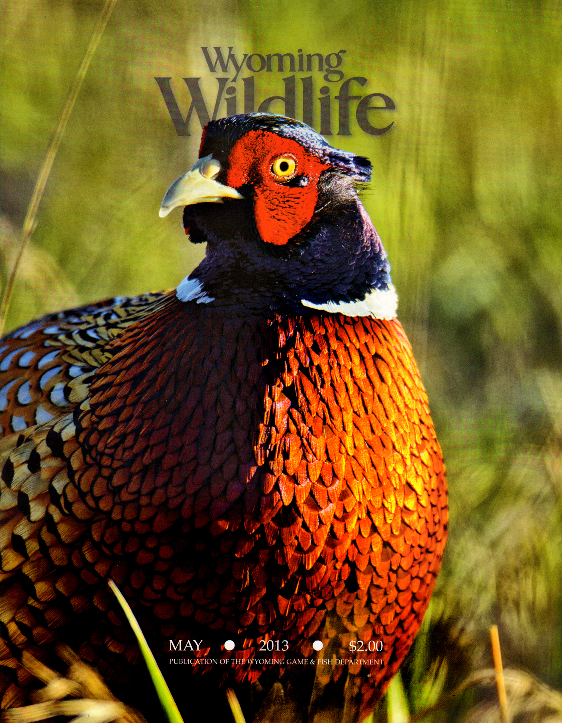 Wyoming-Wildlife May 01, 2013 Issue Cover